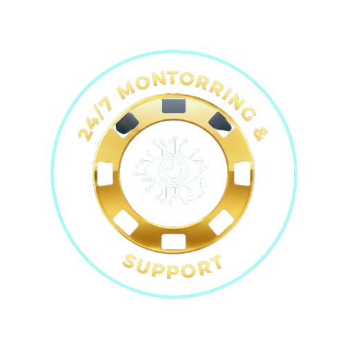 24/7 Monitoring & Support