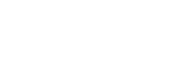 saffronexch logo 
